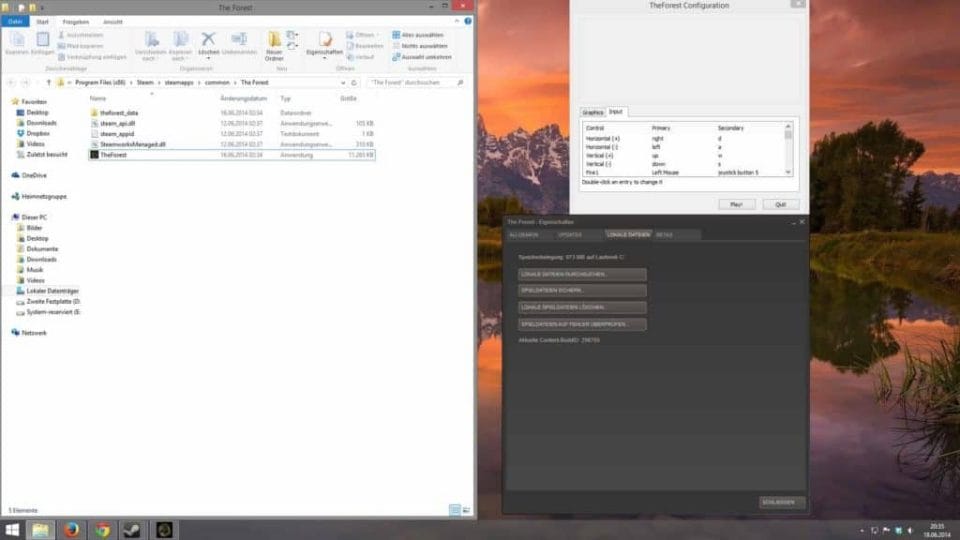 The Forest - Erweiterte Einstellungen mit STRG + Doppelklick