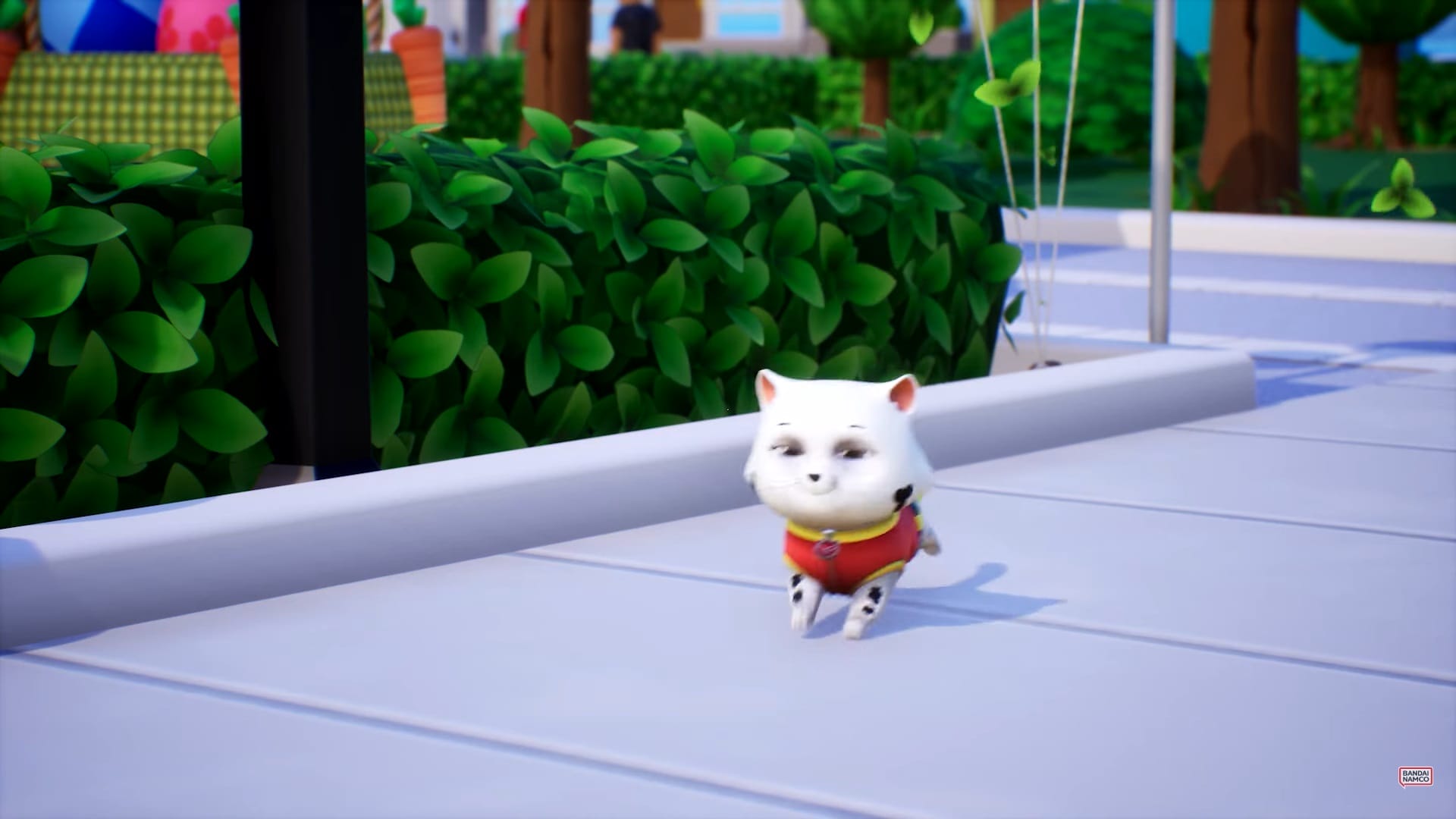 Die Kätzchen haben ihre Finger im Spiel ...